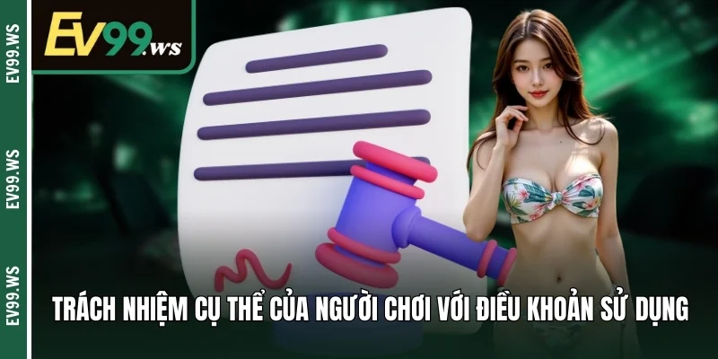 Trách nhiệm cụ thể của người chơi với điều khoản sử dụng