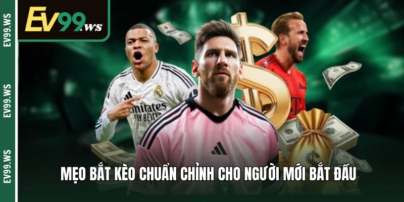 Mẹo bắt kèo chuẩn chỉnh cho người mới bắt đầu 