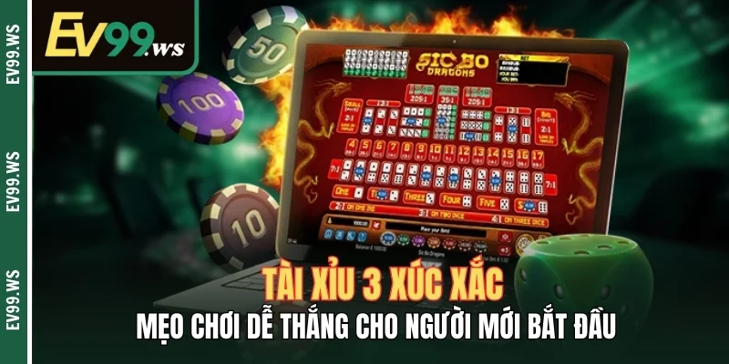 Tài Xỉu 3 Xúc Xắc – Mẹo Chơi Dễ Thắng Cho Người Mới Bắt Đầu
